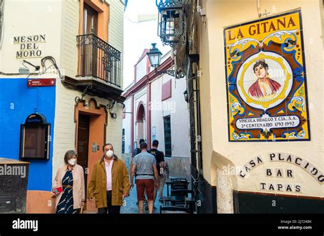 gitana loca sevilla|LA GITANA LOCA, Seville